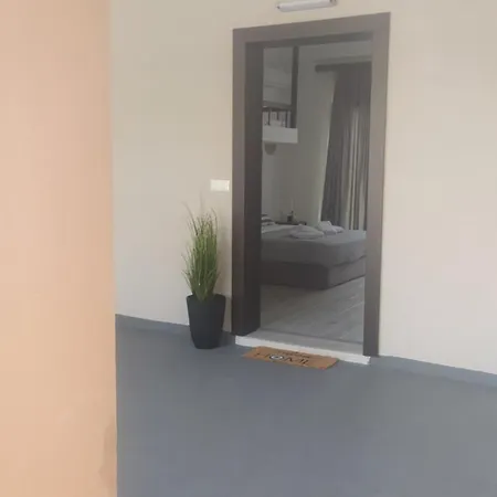 Modern And Sunny