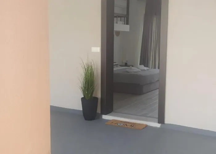 Modern And Sunny